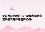 梦幻西游召唤兽飞升介绍(梦幻西游召唤兽飞升详细情况如何)