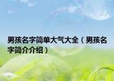 男孩名字简单大气大全（男孩名字简介介绍）
