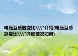 电压互感器变比\