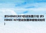 求SHINEE(KEY的这张图介绍 求SHINEE KEY的这张图详细情况如何)