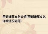 甲硝锉英文名介绍(甲硝锉英文名详细情况如何)