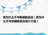 铁为什么不与稀硝酸反应（铁为什么不与浓硝酸反应简介介绍）