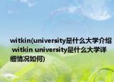 witkin(university是什么大学介绍 witkin university是什么大学详细情况如何)