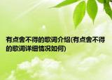 有点舍不得的歌词介绍(有点舍不得的歌词详细情况如何)