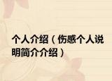个人介绍（伤感个人说明简介介绍）