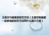 王嘉尔与杨紫的综艺节目（王嘉尔和杨紫一起参加的综艺节目叫什么简介介绍）