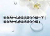 鳄鱼为什么会流泪简介介绍一下（鳄鱼为什么会流泪简介介绍）
