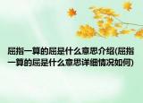 屈指一算的屈是什么意思介绍(屈指一算的屈是什么意思详细情况如何)