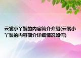 云裳小丫鬟的内容简介介绍(云裳小丫鬟的内容简介详细情况如何)
