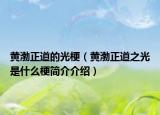 黄渤正道的光梗（黄渤正道之光是什么梗简介介绍）