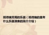 班得瑞常用的乐器（班得瑞的童年什么乐器演奏的简介介绍）