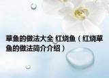 草鱼的做法大全 红烧鱼（红烧草鱼的做法简介介绍）