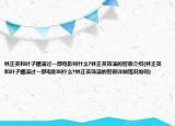 林正英和叶子楣演过一部电影叫什么?林正英饰演的警察介绍(林正英和叶子楣演过一部电影叫什么?林正英饰演的警察详细情况如何)