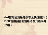 dnf冒险团角色等级怎么快速提升（DNF冒险团冒险角色怎么升级简介介绍）