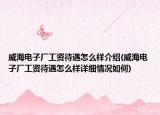 威海电子厂工资待遇怎么样介绍(威海电子厂工资待遇怎么样详细情况如何)