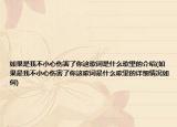 如果是我不小心伤害了你这歌词是什么歌里的介绍(如果是我不小心伤害了你这歌词是什么歌里的详细情况如何)