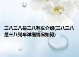 三八三八是三八列车介绍(三八三八是三八列车详细情况如何)