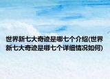 世界新七大奇迹是哪七个介绍(世界新七大奇迹是哪七个详细情况如何)