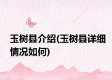 玉树县介绍(玉树县详细情况如何)