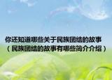 你还知道哪些关于民族团结的故事（民族团结的故事有哪些简介介绍）