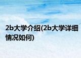 2b大学介绍(2b大学详细情况如何)