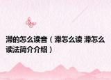 滞的怎么读音（滞怎么读 滞怎么读法简介介绍）