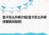 显卡怎么升级介绍(显卡怎么升级详细情况如何)