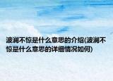 波澜不惊是什么意思的介绍(波澜不惊是什么意思的详细情况如何)