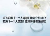 求飞轮海《一个人流浪》歌词介绍(求飞轮海《一个人流浪》歌词详细情况如何)