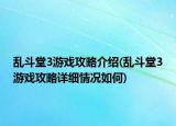 乱斗堂3游戏攻略介绍(乱斗堂3游戏攻略详细情况如何)