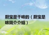 厨宝是干啥的（厨宝是啥简介介绍）