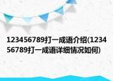 123456789打一成语介绍(123456789打一成语详细情况如何)