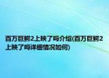 百万巨鳄2上映了吗介绍(百万巨鳄2上映了吗详细情况如何)