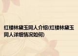红楼林黛玉同人介绍(红楼林黛玉同人详细情况如何)