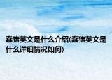 蠢猪英文是什么介绍(蠢猪英文是什么详细情况如何)