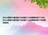 为什么霸爱火爆皇殿下奈何殿下太妖娆都停更了介绍(为什么霸爱火爆皇殿下奈何殿下太妖娆都停更了详细情况如何)