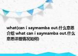 what(can i saymamba out.什么意思介绍 what can i saymamba out.什么意思详细情况如何)