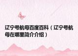 辽宁号航母百度百科（辽宁号航母在哪里简介介绍）