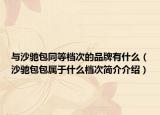 与沙驰包同等档次的品牌有什么（沙驰包包属于什么档次简介介绍）