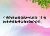 亻旁的字大部分和什么有关（纟旁的字大多和什么有关简介介绍）