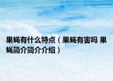 果蝇有什么特点（果蝇有害吗 果蝇简介简介介绍）