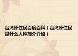 台湾原住民百度百科（台湾原住民是什么人种简介介绍）