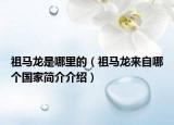 祖马龙是哪里的（祖马龙来自哪个国家简介介绍）