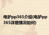 电驴pp365介绍(电驴pp365详细情况如何)