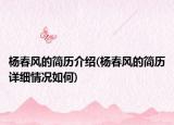 杨春风的简历介绍(杨春风的简历详细情况如何)