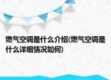 燃气空调是什么介绍(燃气空调是什么详细情况如何)