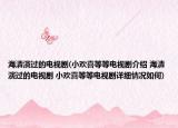 海清演过的电视剧(小欢喜等等电视剧介绍 海清演过的电视剧 小欢喜等等电视剧详细情况如何)