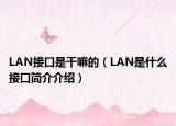 LAN接口是干嘛的（LAN是什么接口简介介绍）