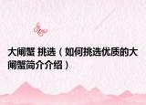 大闸蟹 挑选（如何挑选优质的大闸蟹简介介绍）