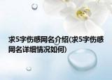 求5字伤感网名介绍(求5字伤感网名详细情况如何)
